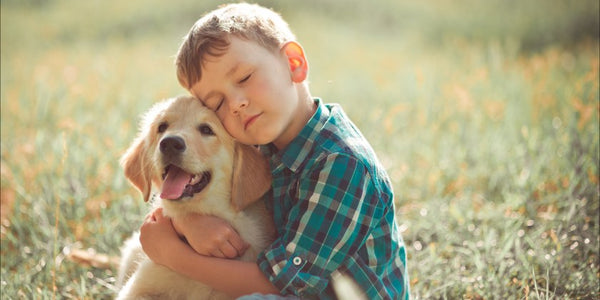 BEST DOG BREEDS FOR FAMILIES WITH KIDS