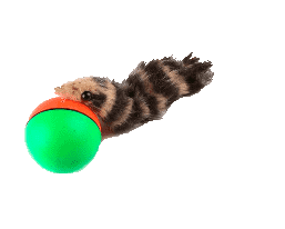 Active Weasel Ball – Yourbestfriendshop