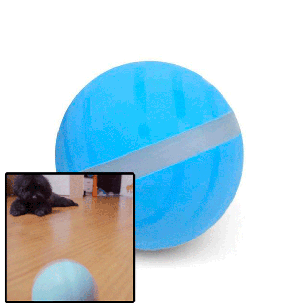Motion Ball