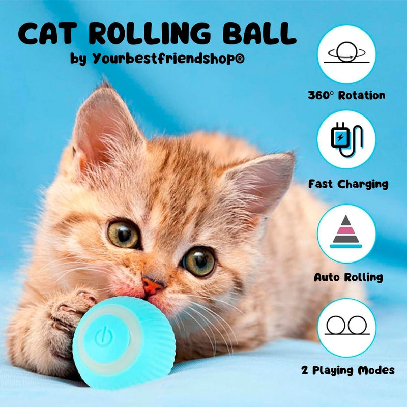 Cat Rolling Ball