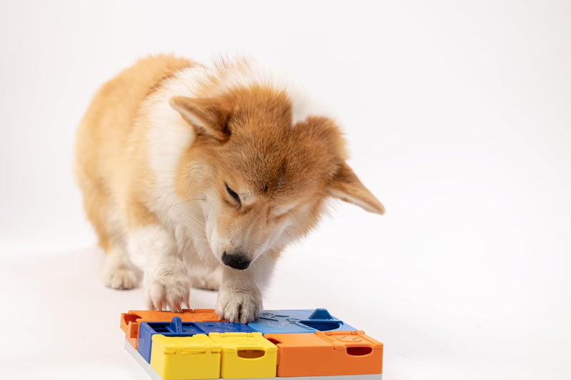 LudoPet® Puzzle Interactivo para perros