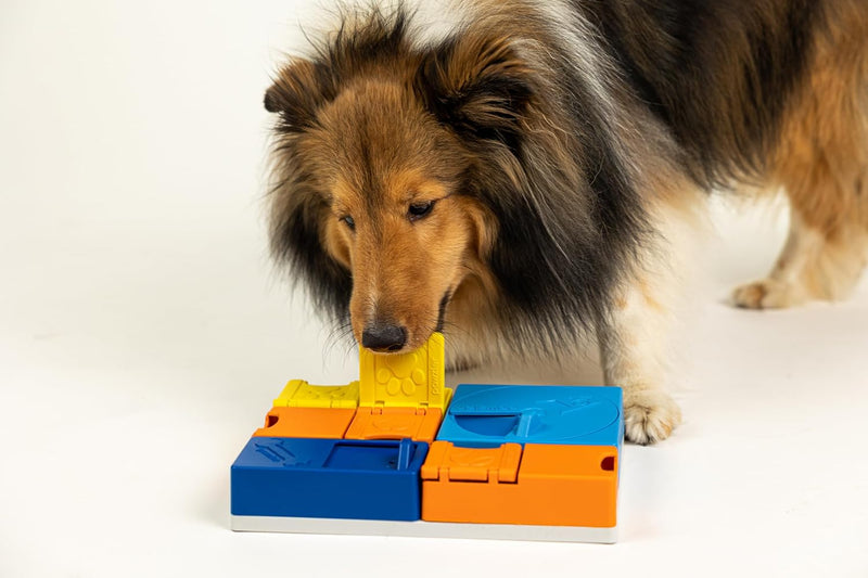 LudoPet® Puzzle Interactivo para perros