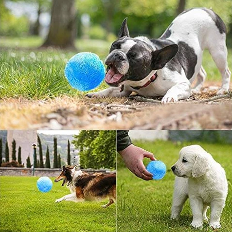 Active Rolling Ball™ Pelota Interactiva