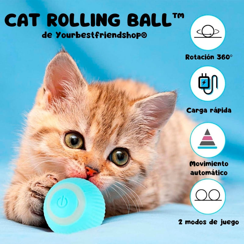 Pelota Interactiva Bestfriend