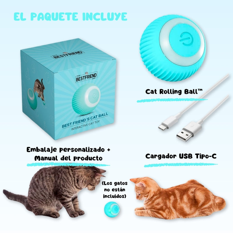 Pelota Interactiva Bestfriend
