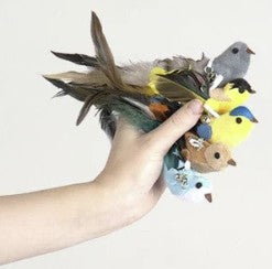 Pájaros extra Zarpia