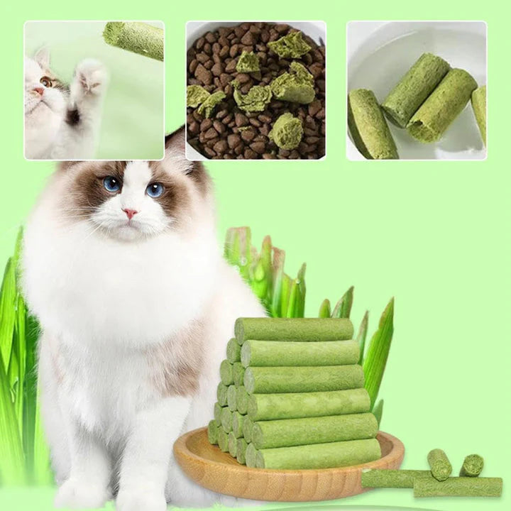 Herbicat® - Palitos de hierba para masticar