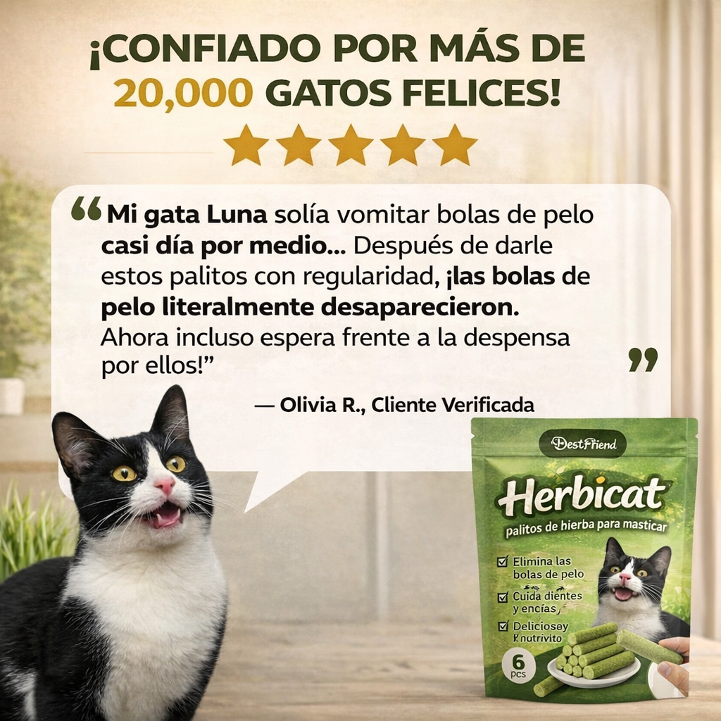 Herbicat® - Palitos de hierba para masticar