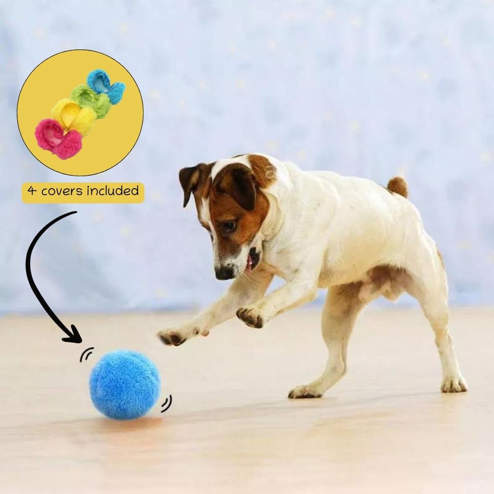 Moving ball dog toy best sale