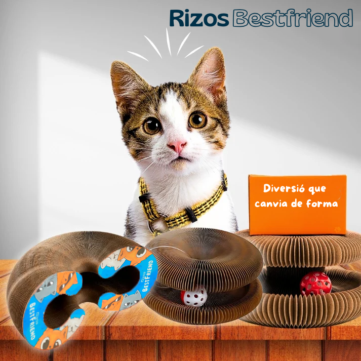 Rizos Bestfriend™ - Joc Interactiu per a Gats