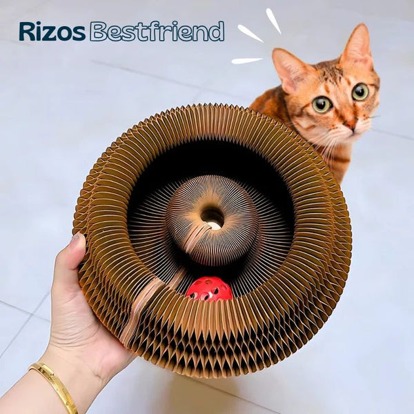 Rizos Bestfriend™