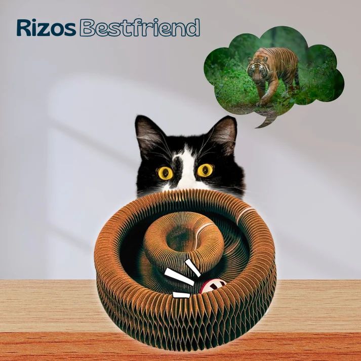 Rizos Bestfriend™