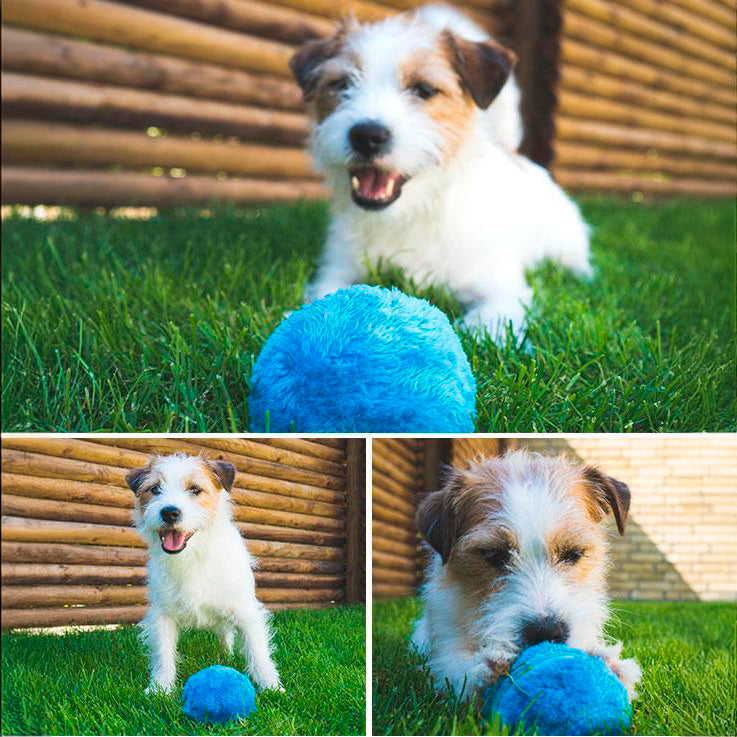 Active Rolling Ball™ Pelota Interactiva