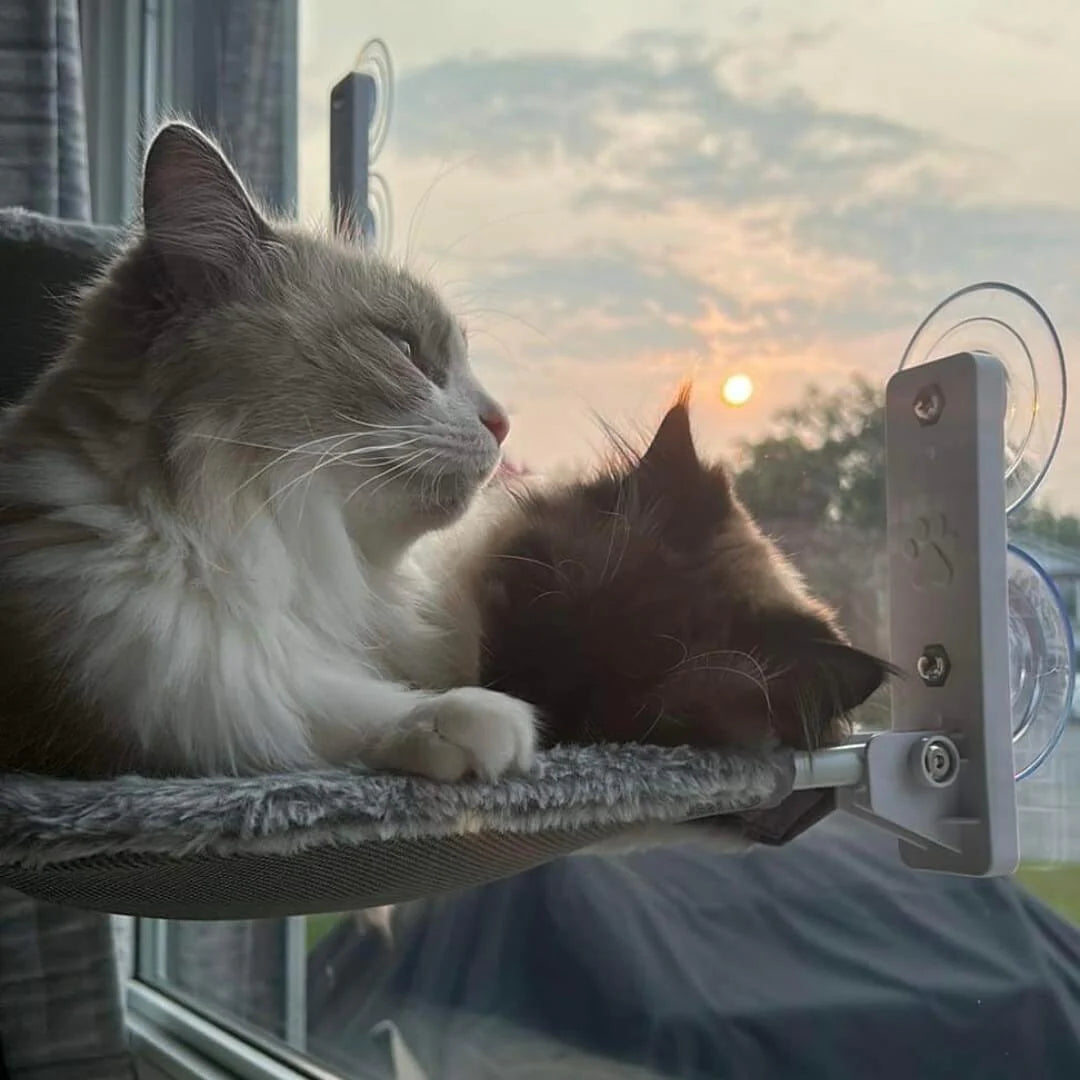 Hamaca Plegable para Gatos BestFriend®