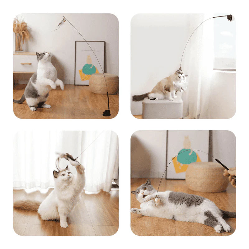 Zarpia® - Juego Interactivo para Gatos