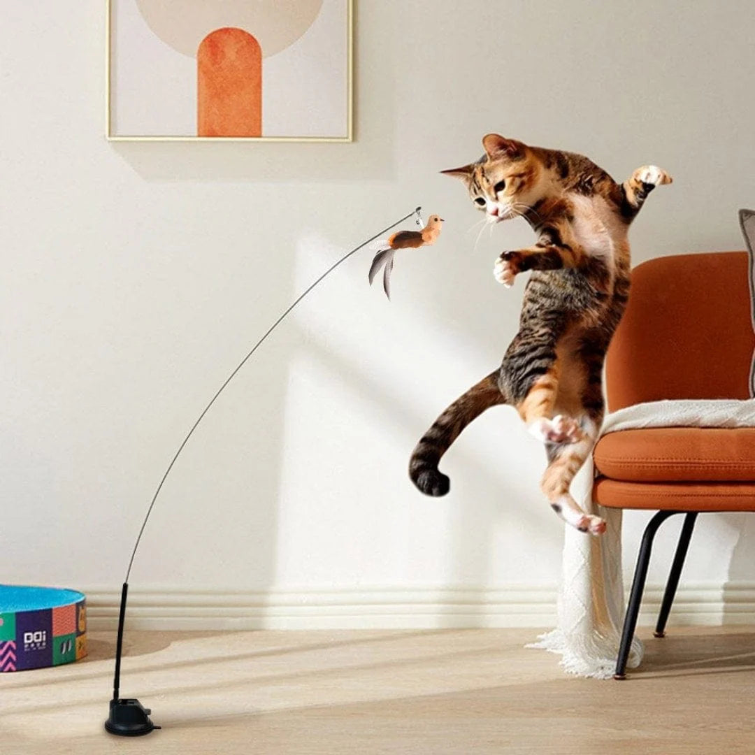 Zarpia® - Juego Interactivo para Gatos