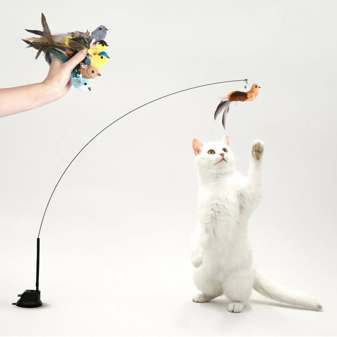 Zarpia® - Juego Interactivo para Gatos