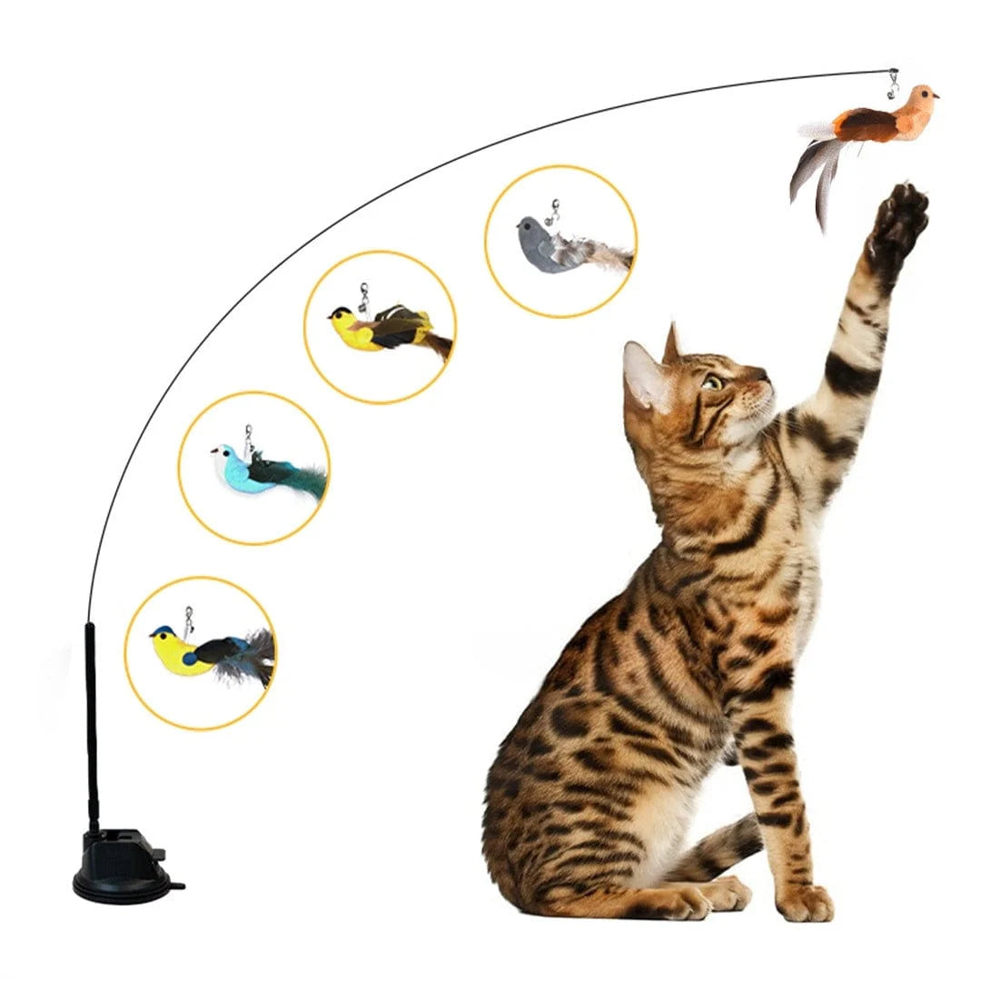 Zarpia® - Juego Interactivo para Gatos