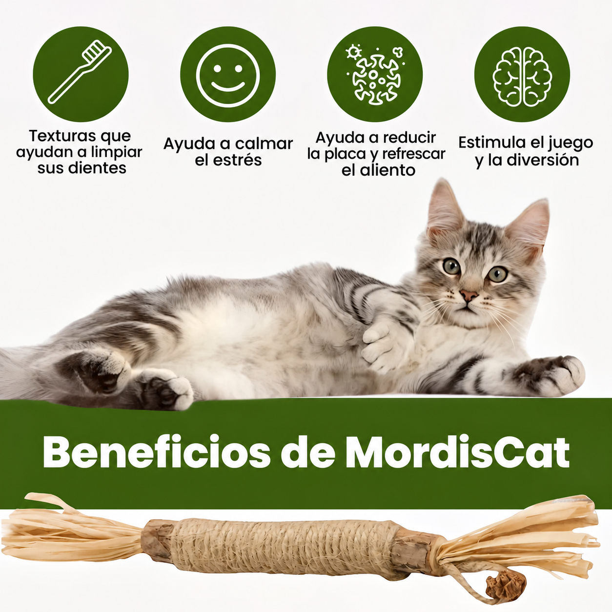 Beneficios de MordisCat en español