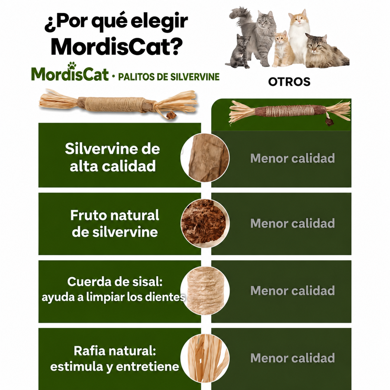 MordisCat comparativa en español