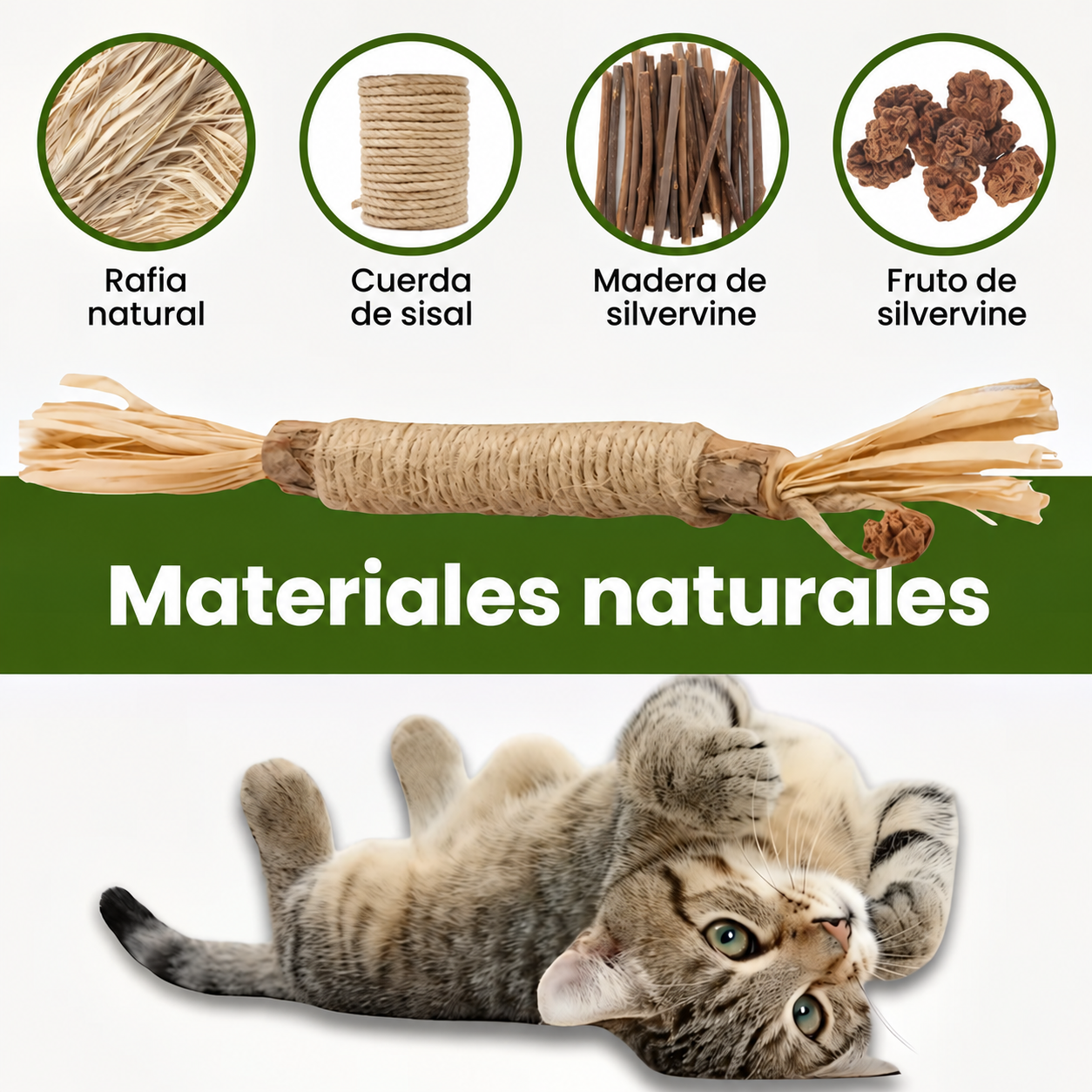 MordisCat materiales en español