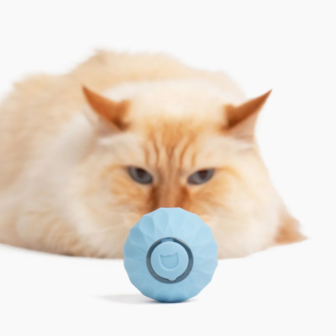 Wloom Pelota Interactiva