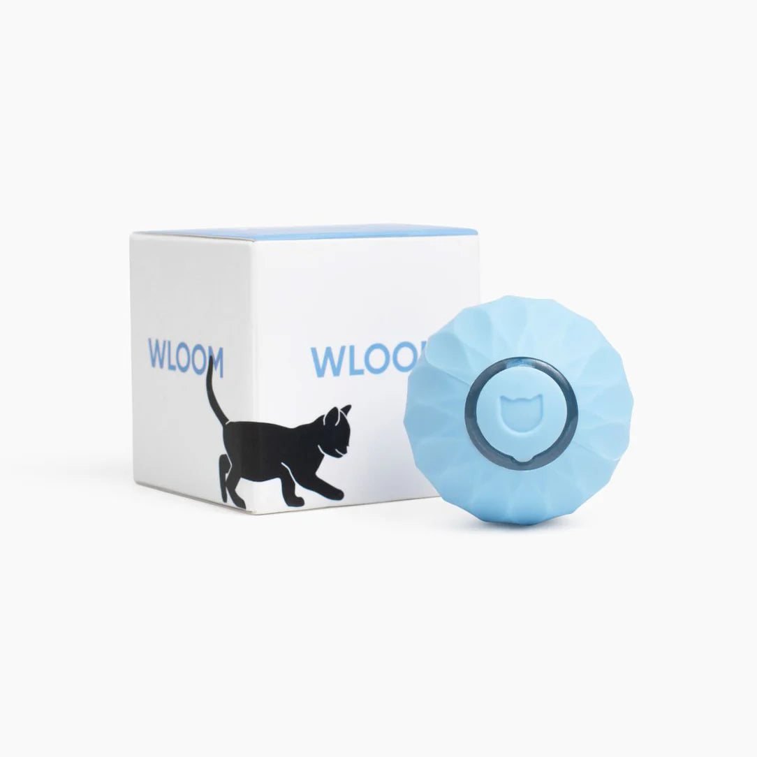 Wloom Pelota Interactiva