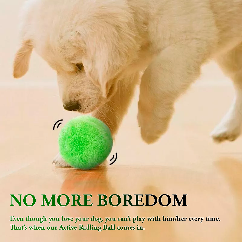 Too cute dog shop active rolling ball deals