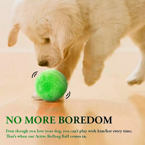 Active Rolling Ball™ Anti-Anxiety Automatic Moving Ball