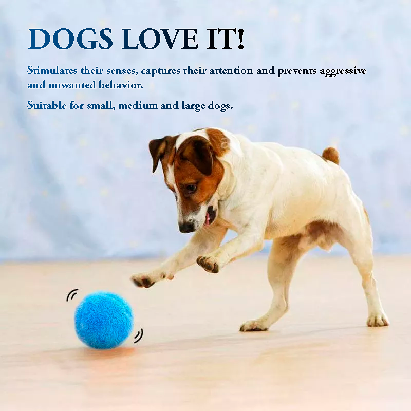 Dog ball that top moves on its own